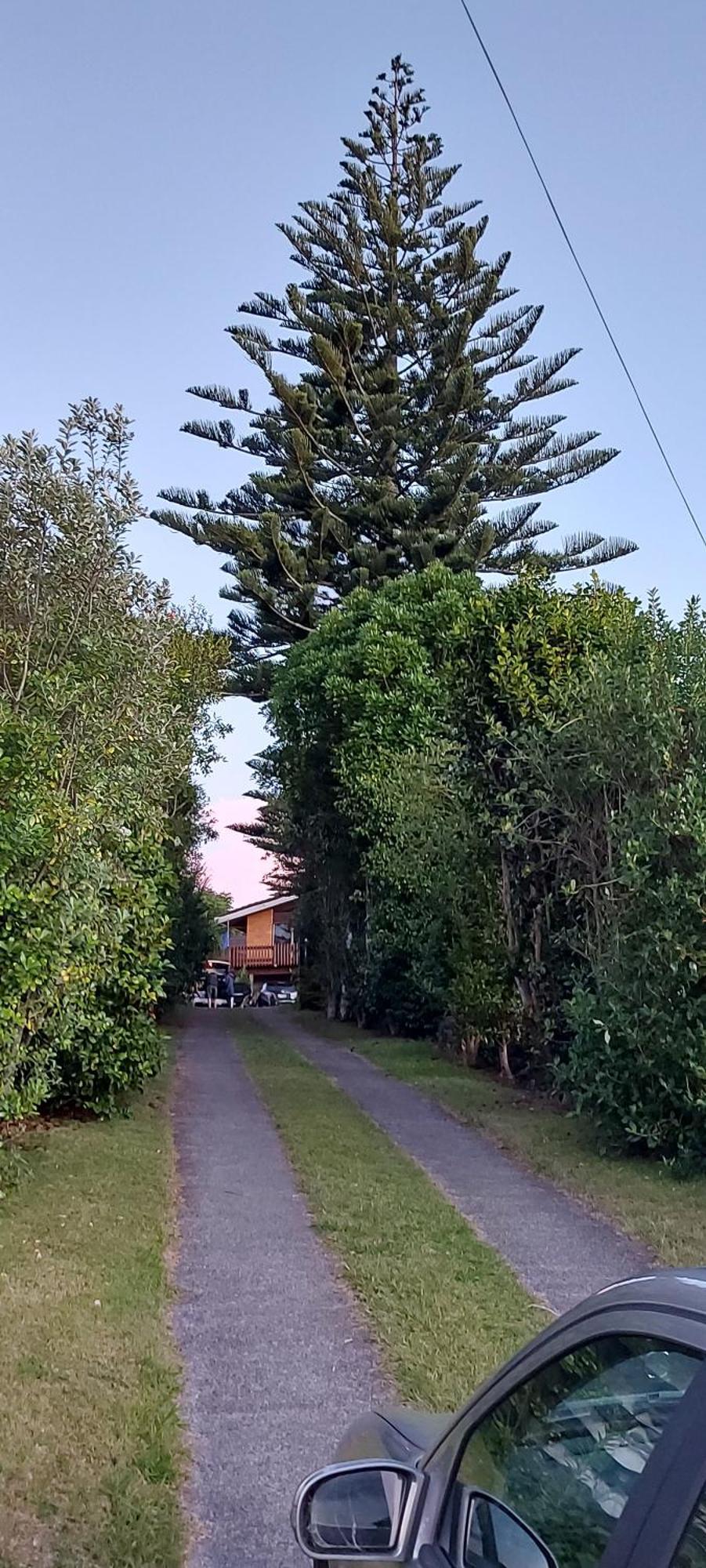 Haley'S Cabin Tauranga Exterior foto
